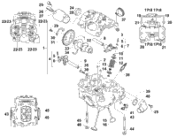 Cylinder Head And Camshaft/Valve Assembly