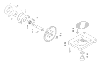 Oil Pump Assembly