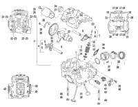 Cylinder Head And Camshaft/Valve Assembly