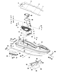 Hull & Body