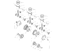Crankshaft & Piston