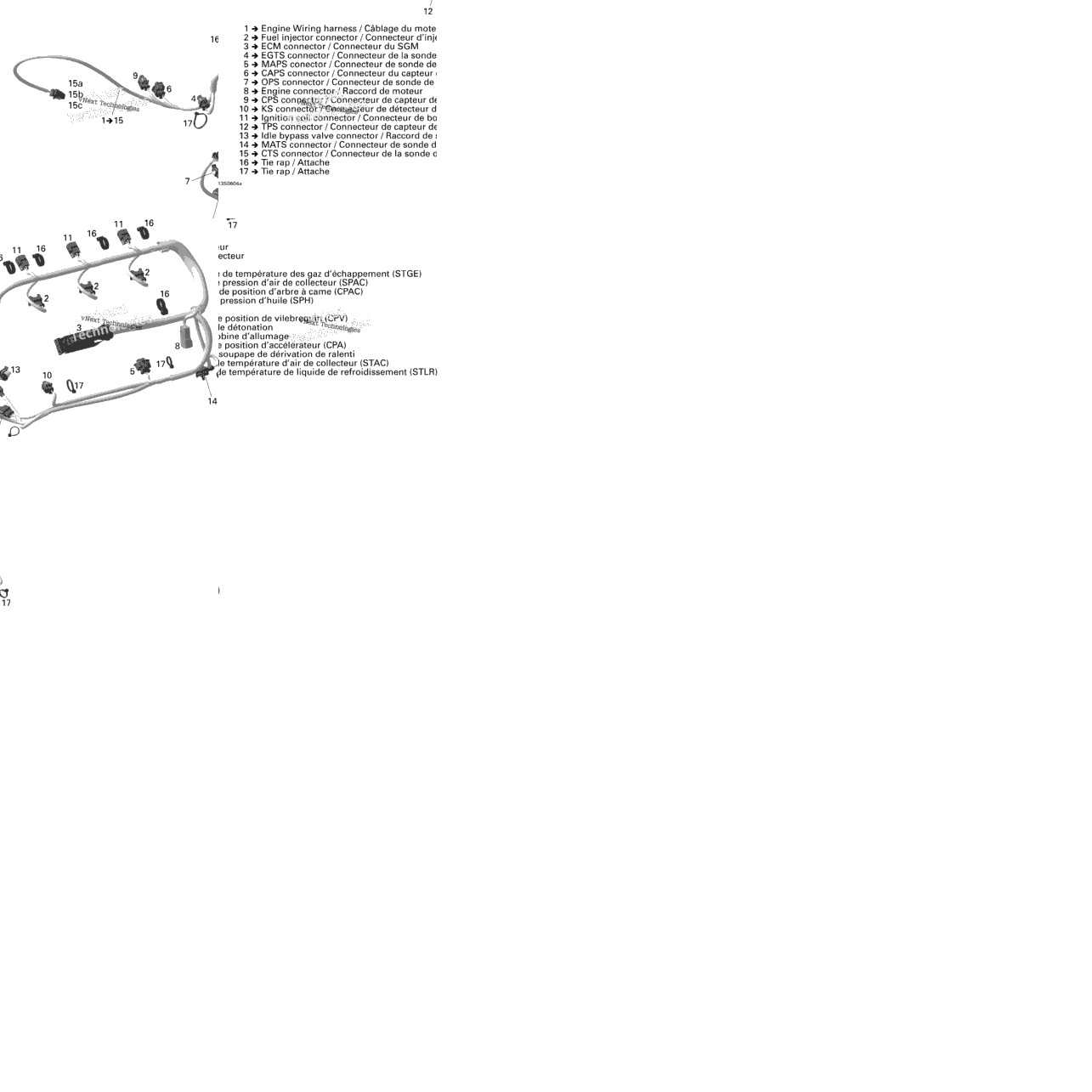 Engine Harness