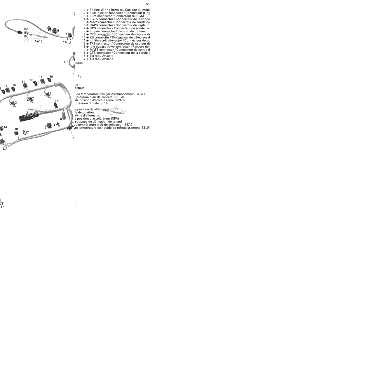 Engine Harness