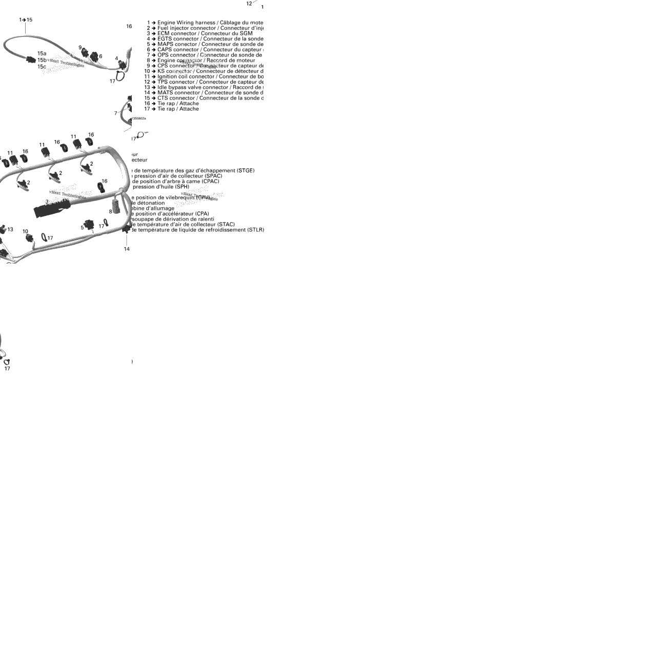 Engine Harness