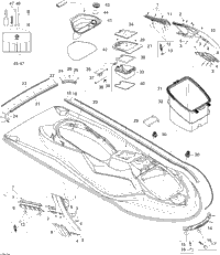 Body, Front View