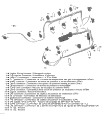 Engine Harness