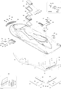 Body (Rear View)
