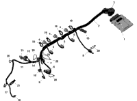 Rotax - Engine Harness And Electronic Module