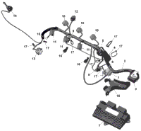 Rotax - Engine Harness And Electronic Module