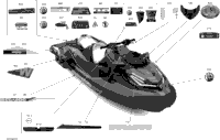 Body - Decals