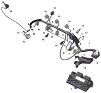 Rotax - Engine Harness And Electronic Module