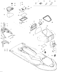 Body, Front View