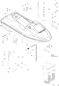 Body, Front View Spi