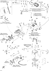 Electrical System