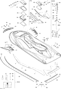 Body, Rear View