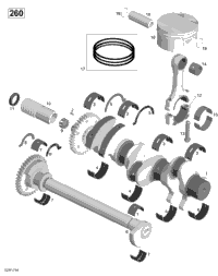 Crankshaft, Pistons And Balance Shaft - 260