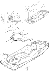 Body, Rear View