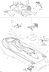 Body, Rear View