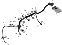 Rotax - Engine Harness And Electronic Module
