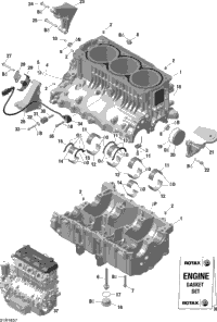 Crankcase - 300