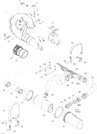 Exhaust System