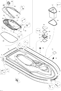 Body, Front View