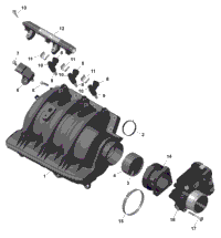 Rotax - Air Intake Manifold And Throttle Body