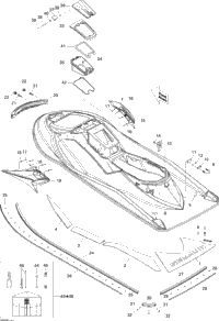 Body, Rear View