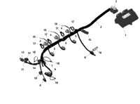 Rotax - Engine Harness And Electronic Module - Without Idf
