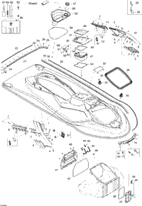Body, Front View