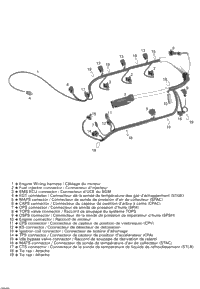 Engine Wiring Harness