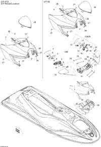 Body, Front View