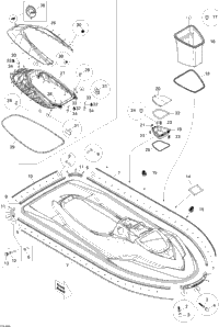 Body, Front View