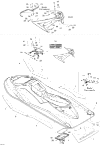 Body, Rear View