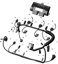 Engine Harness And Electronic Module
