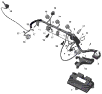 Rotax - Engine Harness And Electronic Module