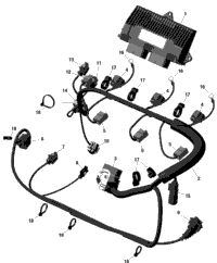 Engine Harness And Electronic Module