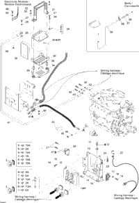 Electrical System