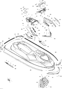 Body, Front View