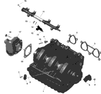 Rotax - Air Intake Manifold And Throttle Body