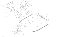 Body - System