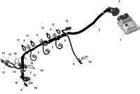 Rotax - Engine Harness And Electronic Module