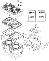 Cylinder And Exhaust Manifold