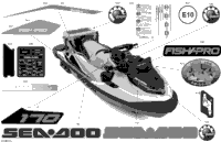 Body - Decals