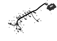 Rotax - Engine Harness And Electronic Module