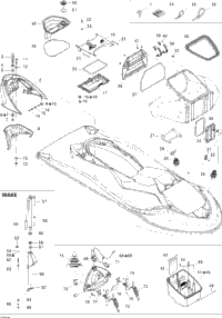 Body, Front View Std