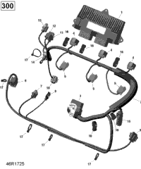 Engine Harness - 300