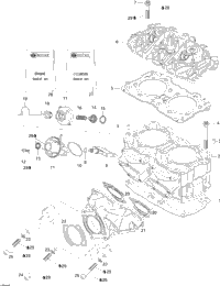 Cylinder And Exhaust Manifold