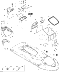 Body, Front View