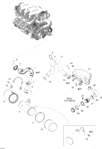 Exhaust System